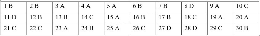 Đề cương ôn tập học kì 1 Toán 3 - Cánh diều 12