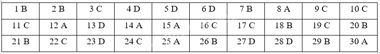 Đề cương ôn tập học kì 1 Toán 4 - Kết nối tri thức 8