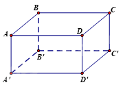 Đề thi giữa kì 1 Toán 7 - Đề số 6 11