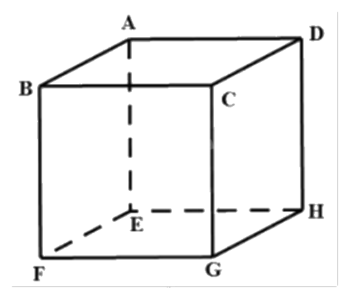 Đề thi học kì 1 Toán 12 Chân trời sáng tạo - Đề số 3 0 5