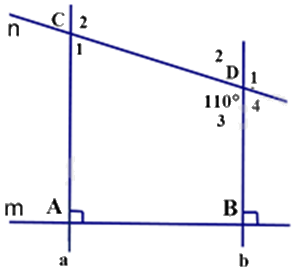 Đề thi học kì 1 Toán 7 Cánh diều - Đề số 11 1 6