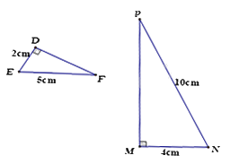 Đề thi học kì 2 Toán 8 - Đề số 5 - Cánh diều 1 2