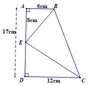 Đề thi học kì 2 Toán 8 - Đề số 5 - Chân trời sáng tạo 0 2