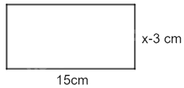 Giải bài 2.19 trang 28 sách bài tập toán 9 - Kết nối tri thức tập 1 1