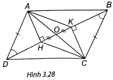 Giải bài 5 trang 56 vở thực hành Toán 8 1