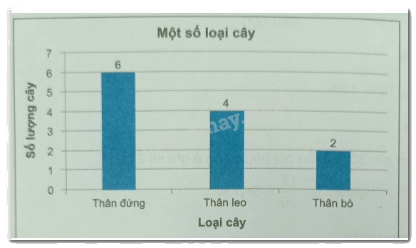 Giải Bài 9.47 trang 89 sách bài tập Toán 6 Kết nối tri thức với cuộc sống 2