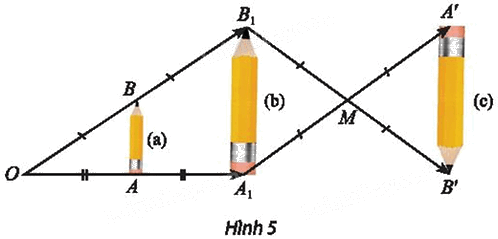 Giải mục 2 trang 39, 40 Chuyên đề học tập Toán 11 - Chân trời sáng tạo 1 1