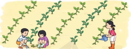 Luyện tập chung 5
