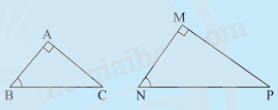 Lý thuyết Trường hợp đồng dạng thứ ba của tam giác SGK Toán 8 - Cánh diều 2