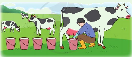 Toán lớp 3 trang 63 - Em ôn lại những gì đã học - SGK Cánh diều 4 1