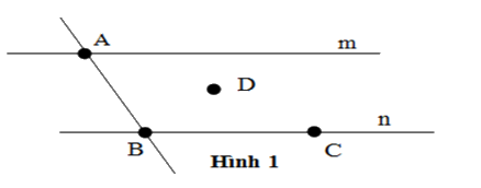 Trắc nghiệm Bài 1: Điểm. Đường thẳng Toán 6 Chân trời sáng tạo 0 13