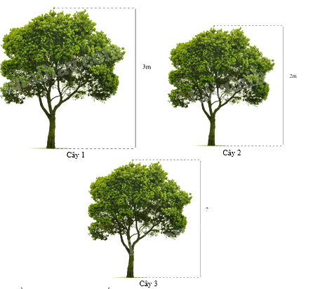 Trắc nghiệm Bài 10: Hình đồng dạng trong thực tiễn Toán 8 Cánh diều 0 37