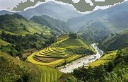 Trắc nghiệm Bài 10: Làm tròn số đến hàng trăm nghìn Toán 4 Cánh diều 0 6