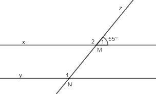 Trắc nghiệm Bài 10: Tiên đề Euclid. Tính chất của các đường thẳng song song Toán 7 Kết nối tri thức 0 34