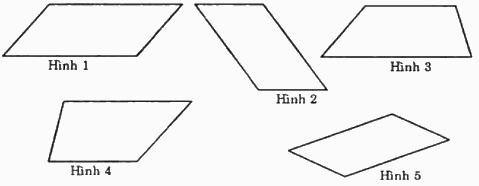 Trắc nghiệm Bài 3: Hình bình hành Toán 6 Cánh diều 0 14