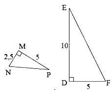 Trắc nghiệm Bài 36: Các trường hợp đồng dạng của hai tam giác vuông Toán 8 Kết nối tri thức 0 30