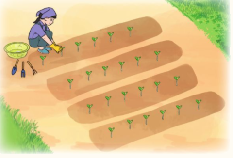 Trắc nghiệm Bài 4: Ôn tập bảng nhân 2 ; 5; bảng chia 2 ; 5 Toán 3 Kết nối tri thức 0 10