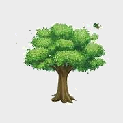 Trắc nghiệm Bài 45: Nhân với 10, 100, 1 000,... Chia cho 10, 100, 1 000,... Toán 4 Chân trời sáng tạo 0 14
