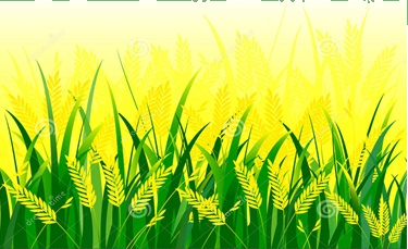 Trắc nghiệm Bài 47: Bài toán liên quan đến rút về đơn vị Toán 4 Kết nối tri thức 0 6